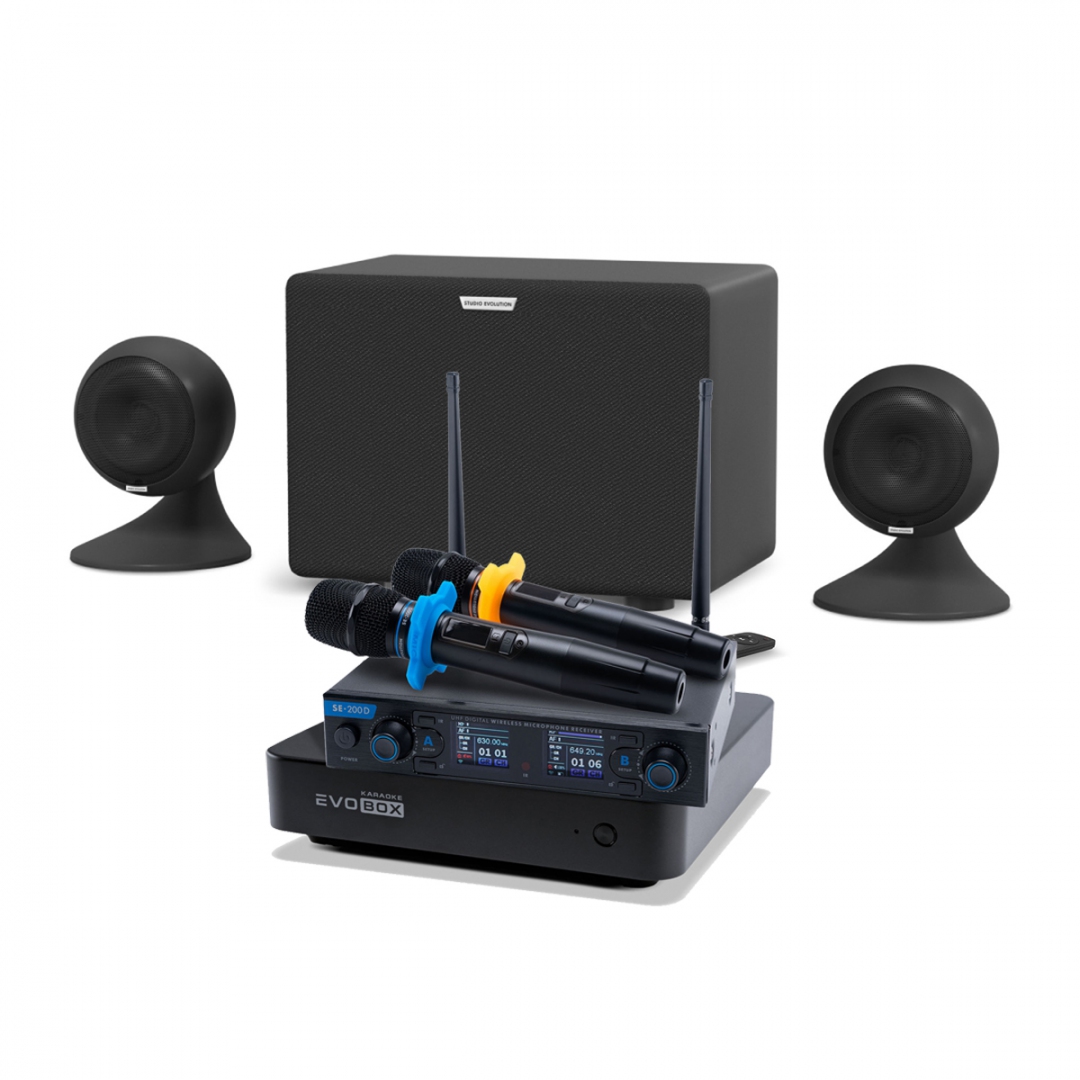 караоке-комплект EVOBOX + EvoSound Sphere 2.1 в Чистополе