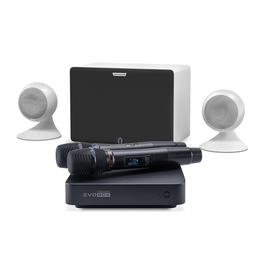 караоке-комплект EVOBOX Classic + EvoSound Sphere 2.1 в Чистополе