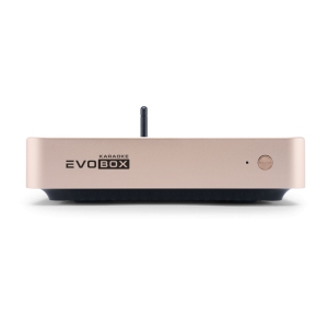 EVOBOX Classic караоке-система для дома в Чистополе