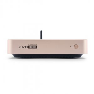 EVOBOX Plus караоке-система для дома в Чистополе