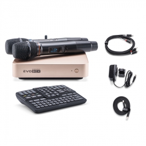 EVOBOX Plus караоке-система для дома в Чистополе