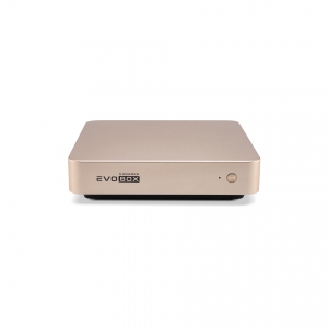 EVOBOX с микрофонами в Чистополе