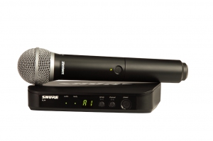 SHURE BLX24E/PG58 M17 вокальная радиосистема в Чистополе